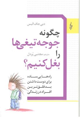 چگونه جوجه تیغی ها را بغل کنیم ؟  راه هایی ساده برای دوست داشتن بدقلق ترین افراد در زندگی ( ترانه )