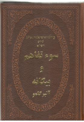 سو ء تفاهم  و بیگانه  ( پارمیس )