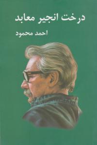 درخت انجیر معابد - احمد محمود ( معین )