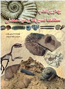 سنگ ها فسیل ها و مواد معدنی ( لیدا )