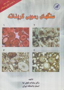 سنگهای رسوبی کربناته ( دانشگاه امام رضا )