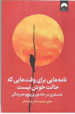 نامه هایی برای وقت هایی که حالت خوش نیست - همسفری در جاده ی پر پیچ و خم زندگی ( میلکان )