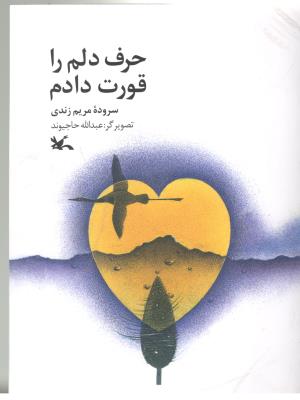 حرف دلم را قورت دادم  ( کانون پرورش فکری )