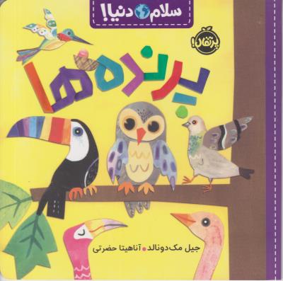 سلام دنیا ! پرنده ها ( پرتقال )