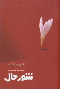 شور حال (ذهن زیبا )