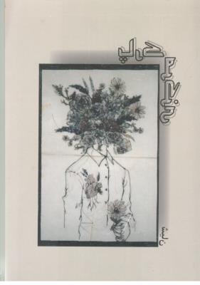 پارک مرکزی  ( خدمات فرهنگی کرمان )