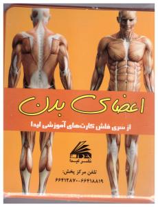فلش کارت اعضای بدن ( لیدا )