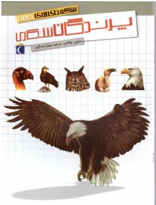 شگفتی های جهان - پرندگان شکاری ( محراب قلم )