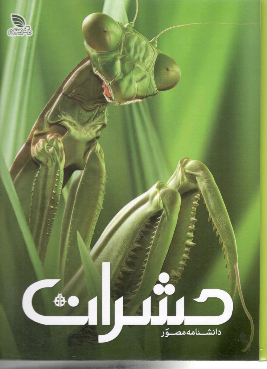 دانشنامه مصور - حشرات ( برگ زیتون )