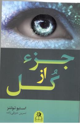 جزء از کل  - رمان ( ارتباط نوین )