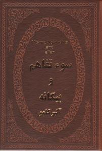 سو تفاهم و بیگانه ( پارمیس )
