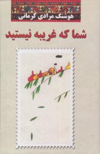شما که غریبه نیستید ( معین )