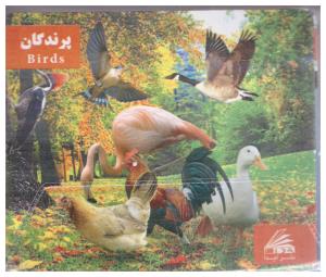 فلش کارت پرندگان ( لیدا )