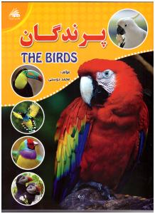پرندگان  ( لیدا )