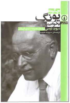 چگونه یونگ بخوانیم ( نشر نی )