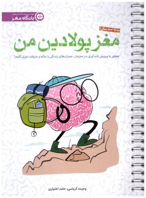 مغز پولادین من - چطور با روش تاب اوری در مغزمان بحرن های زندگی را سالم و سر بلند سپری کنیم ( مهرسا  )