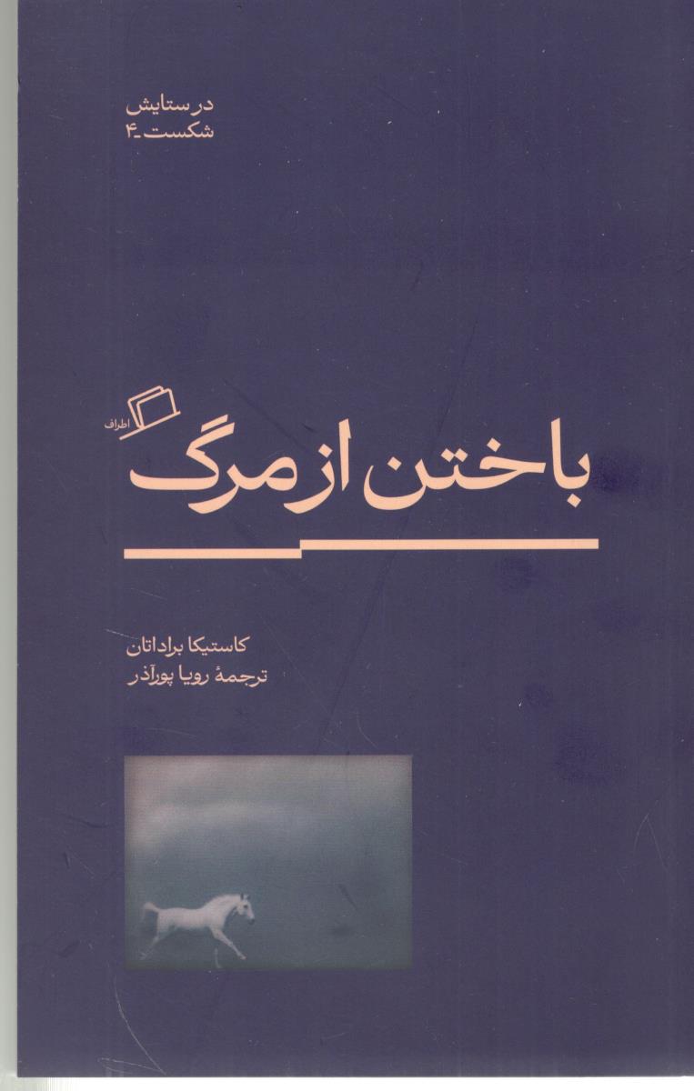 باختن از مرگ - در ستایش شکست 4  ( اطراف )