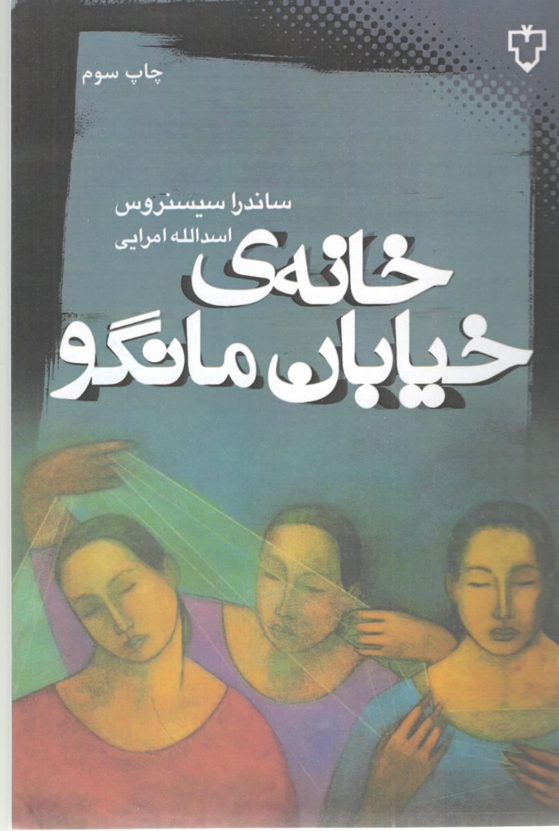 خانه ی خیابان مانگو ( نقش و نگار )