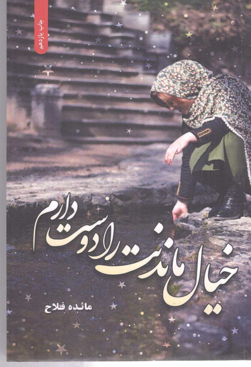 خیال ماندنت را دوست دارم  ( شقایق )