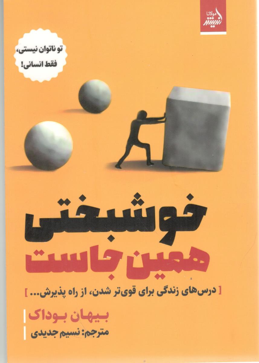خوشبختی  همین جاست - درس های زندگی برای قوی تر شدن از راه پذیرش ( اندیشه مولانا )