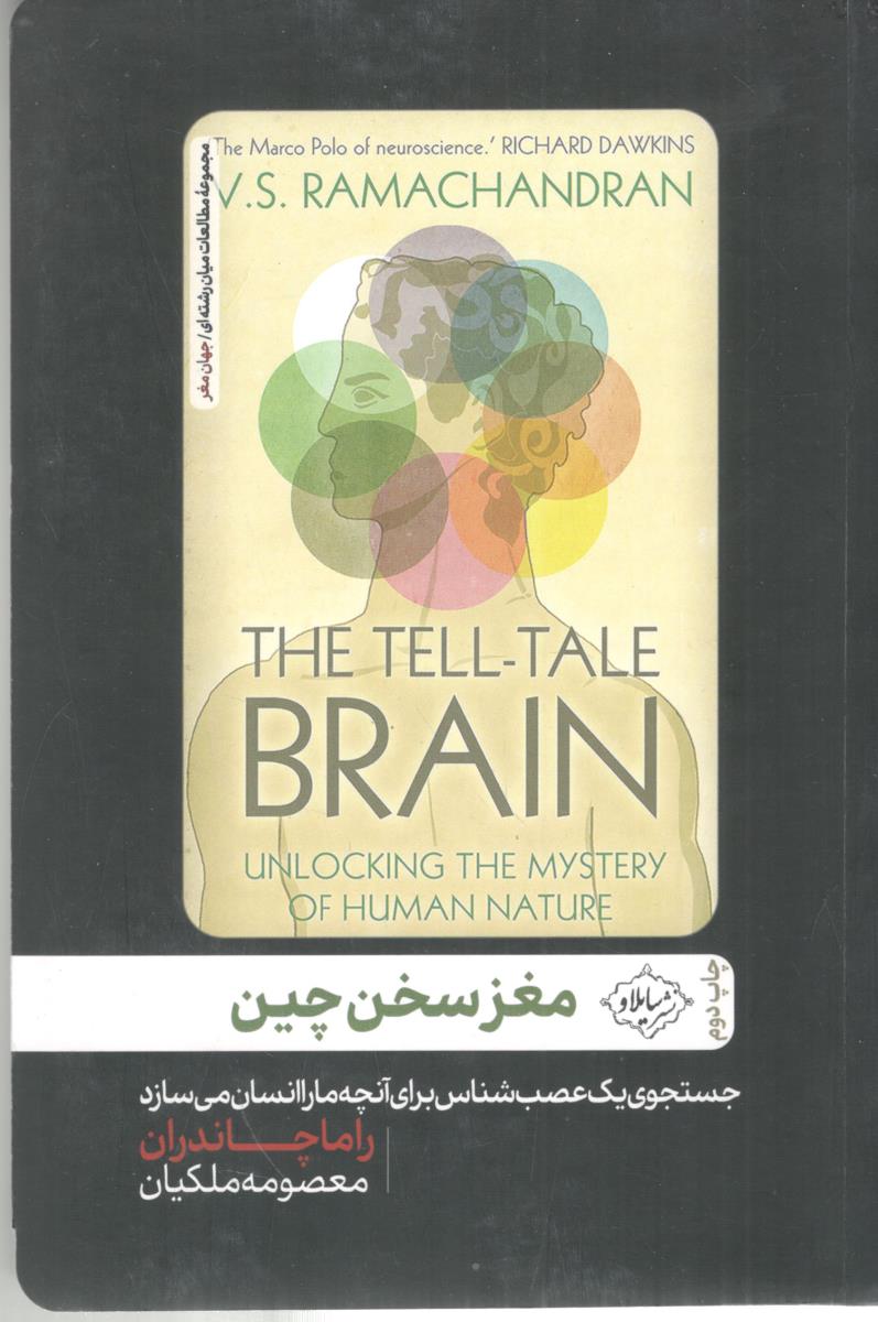 مغز سخن چین ( سایلاو )