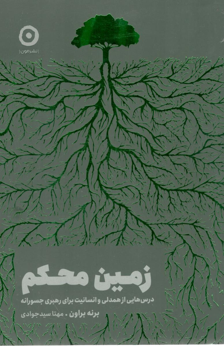 زمین محکم درس هایی از همدلی و انسانیت برای رهبری جسورانه ( نشر مون )
