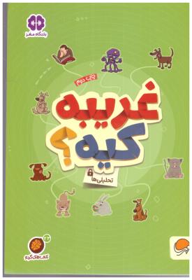 غریبه کیه ؟ - تحلیلی ها ( مهرسا )